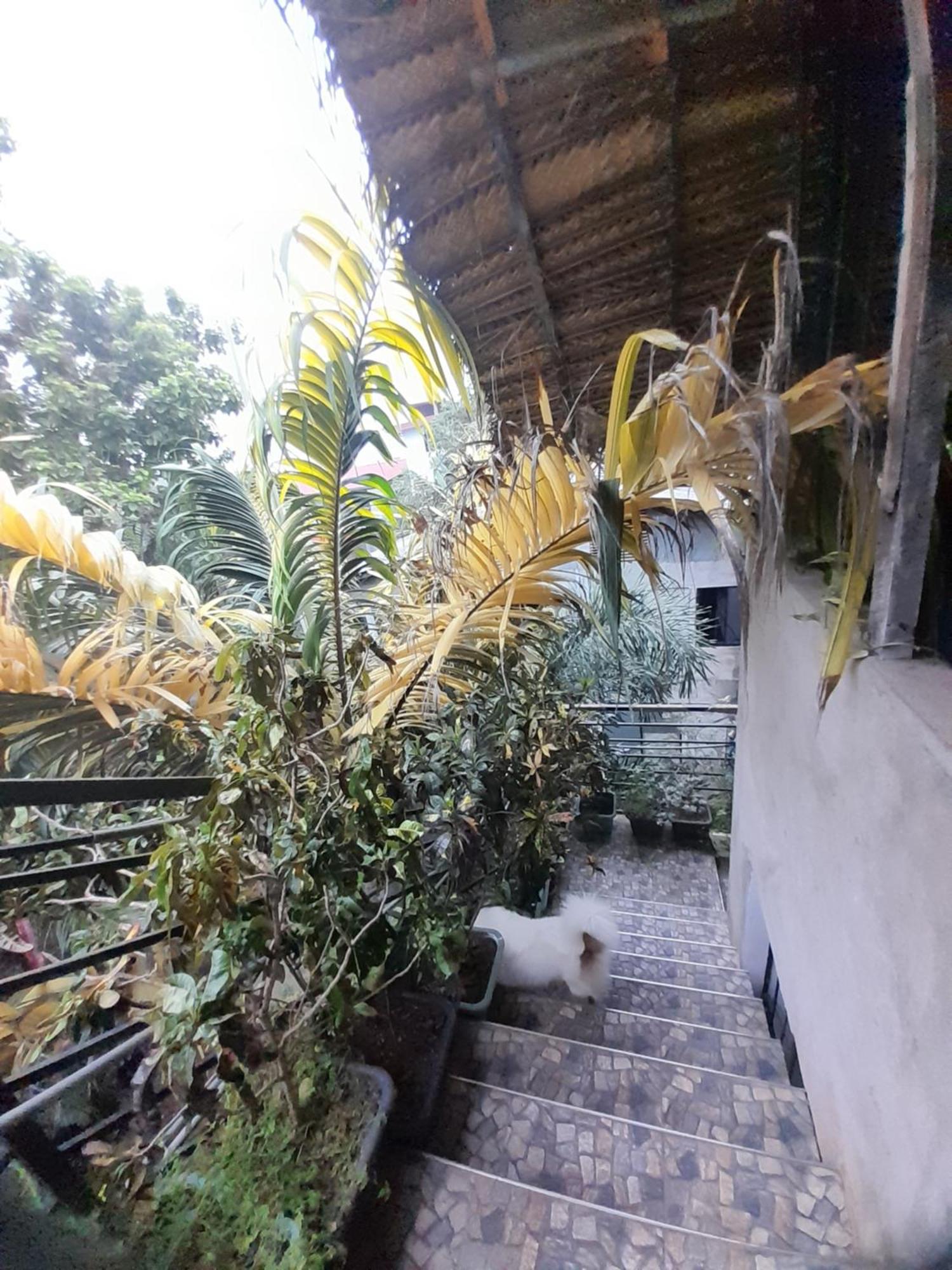 Sacred City Tourist Resort Anurâdhapura Extérieur photo