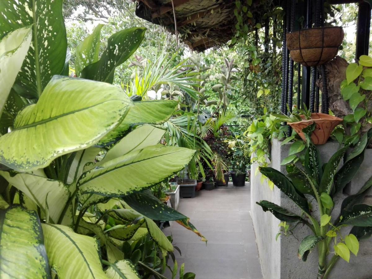 Sacred City Tourist Resort Anurâdhapura Extérieur photo